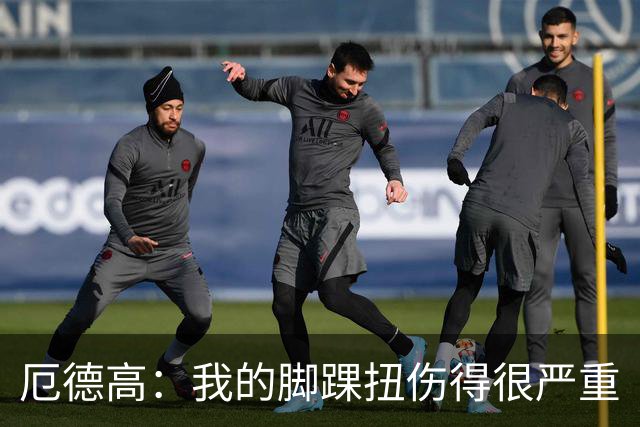 厄德高：我的脚踝扭伤得很严重